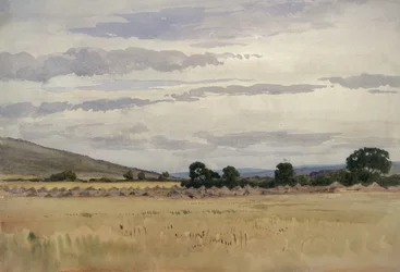 Landscape with Cornfield