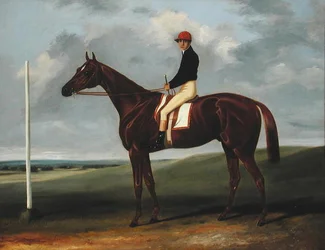 Chestnut Colt with Jockey Up and Starting Post
