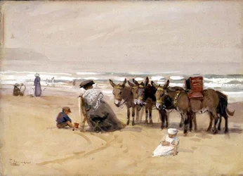 A Quiet Afternoon
