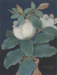 Magnolia Blossoms, 1933