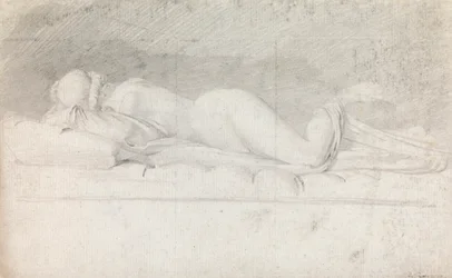 Study of the Hermaphrodite