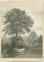 Aldridge Church