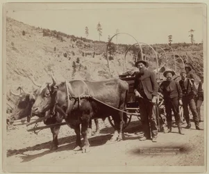 Prospectors Going to the Gold Fields