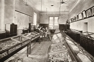 Museum, Camborne Mining School, illustration from 