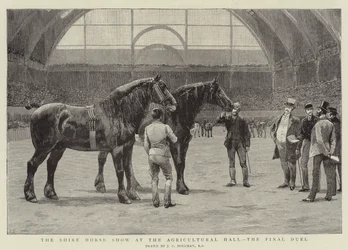The Shire Horse Show at the Agricultural Hall, the Final Duel