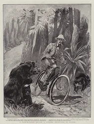 A Hair-Breadth Escape, a Cycling Adventure in Ceylon