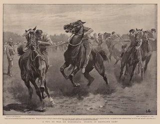 A Tug of War on Horseback, Sports in Maitland Camp