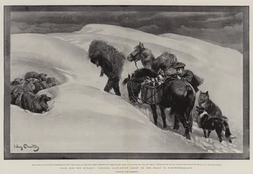 Food for the Hungry, Tending Snow-bound Sheep on the Hills in Northumberland