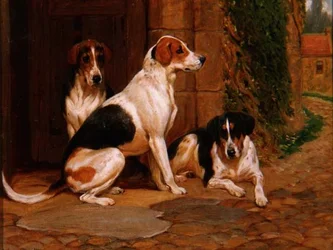 Foxhounds