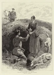 Grouse Shooting on the Moors