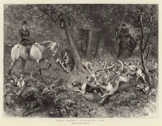 Hard Pressed, a Woodland Scene