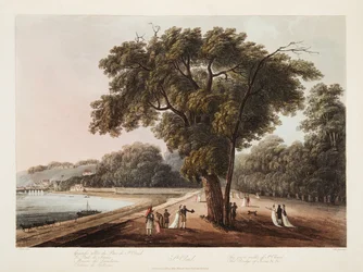 St Cloud, The Great Walk of St Cloud, The Bridge of Sevres, etc., illustration from Versailles, Paris and Saint Denis