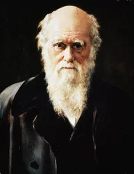 Portrait of Charles Darwin (Detail)