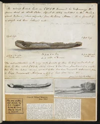 Antiquities: Drawing of ancient British canoe discovered (1824) at North Stoke