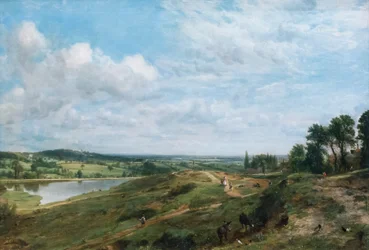 Hampstead heath
