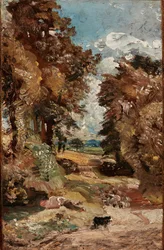The Cornfield