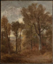 Woodland Scene Overlooking Dedham Vale