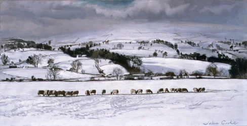 Winter Feed