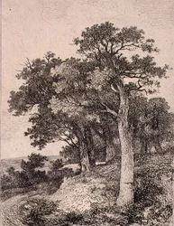 At Colney, pub. by J. & W. Freeman