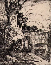 Cartwheels Near a Tree