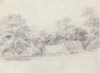 Two Buildings Among Trees