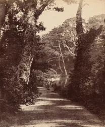 The Upper Lake, Penllergare Valley Woods, c. 1852