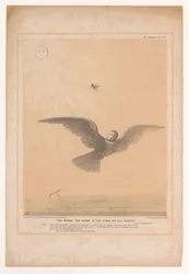 Caricature with Lord Russell as a Wren (The Wren, the Wren! Is the King of All Birds!)