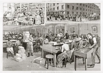 Scenes of cigarette production, 1887