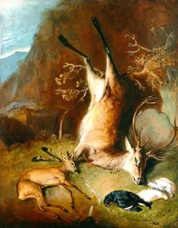 Highland Landscape