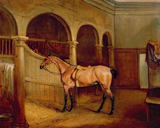 Lord Villiers
