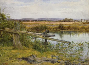 The Roadside