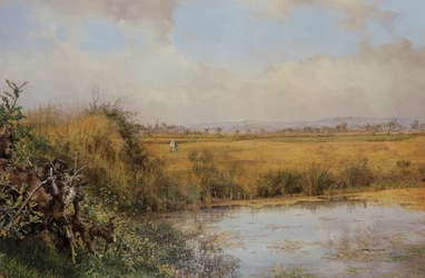 Unknown Image