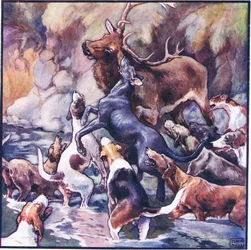 A Tremendous Struggle Took Place, the Whole Pack is Upon Him