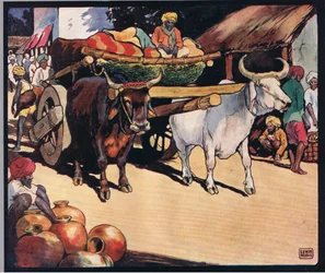 Oxen pulling a cart, illustration from 