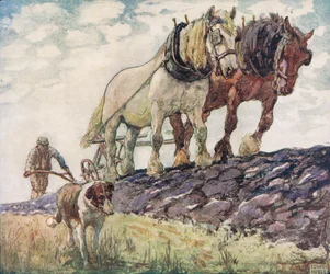 Ploughing the field, illustration from 