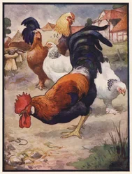 The Cock and the Jewel