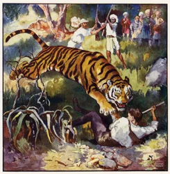The next instant I saw him falling backwards under the tigress