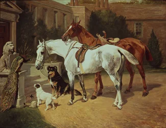 Horses and Dogs