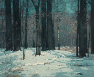 Woods in Winter