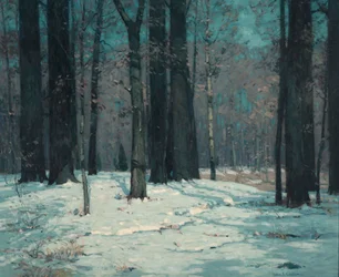 Woods in Winter