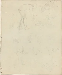 Sheet of Studies