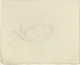 Snails (recto and verso)