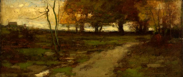 Landscape