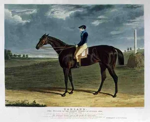 Cadland, the Winner of the Derby Stakes at Epsom