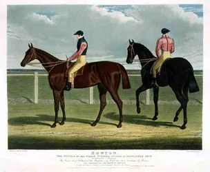 Rowton, the Winner of the Great St. Leger Stakes at Doncaster