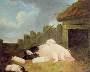 Sow with Piglets in the Sty