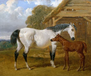 A Mare and Foal Before a Barn