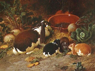 Fancy Rabbits, a Doe with her Young