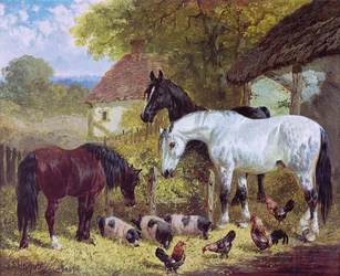 Farmyard