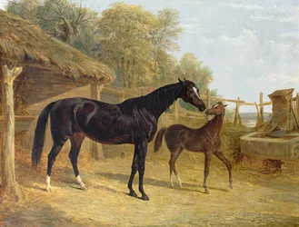 Levity, the Property of J.C. Cockerill Esq., with Her Foal Queen Elizabeth, the Property of Lord Dorchester, 1843